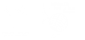 NaturalezaVida